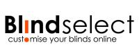 Blind Select Online image 2